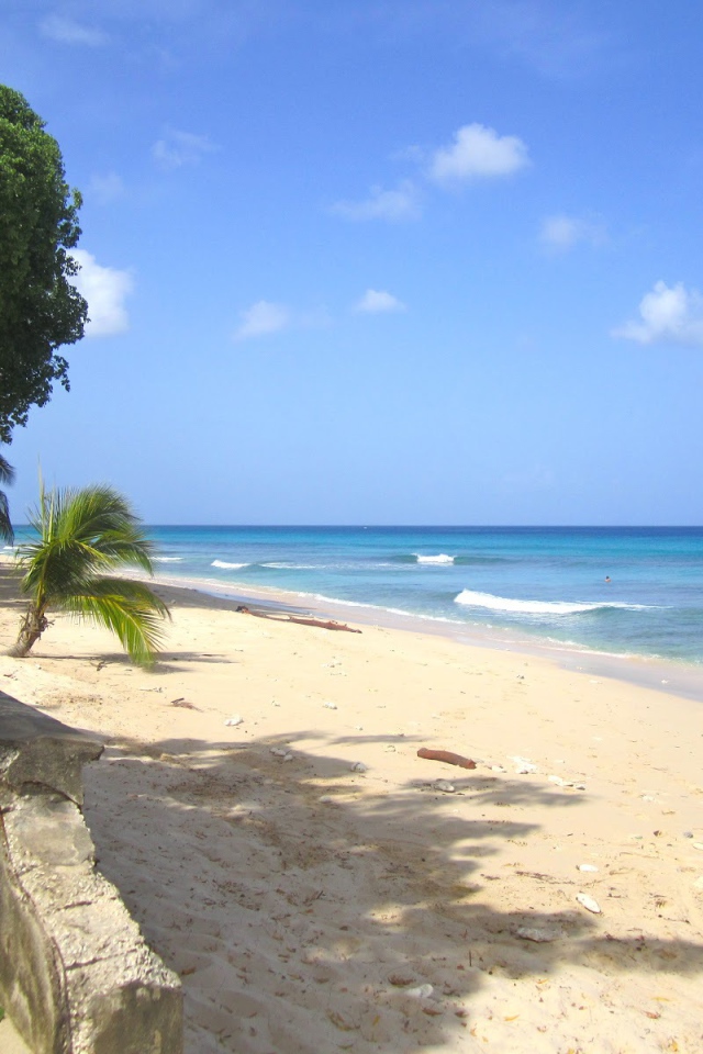 Песчаные пляжи в Барбадосе