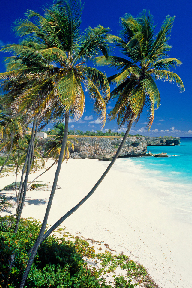 Солнечный берег в Барбадосе