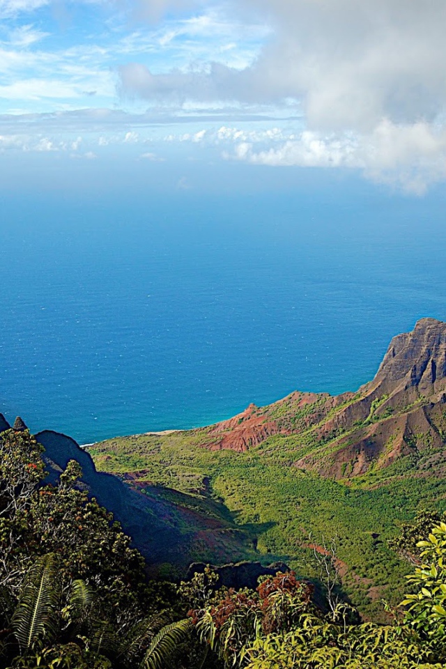 Ландшафт Барбадоса