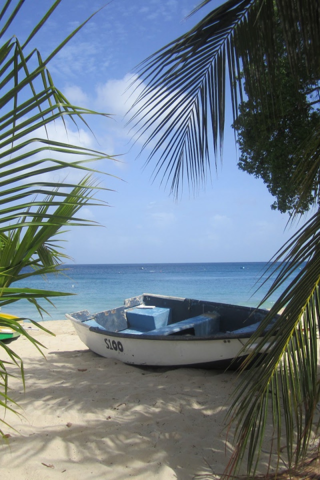 Белая, лодка в Барбадосе
