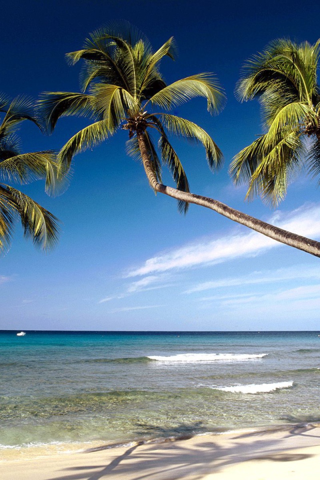 Красивое Барбадос