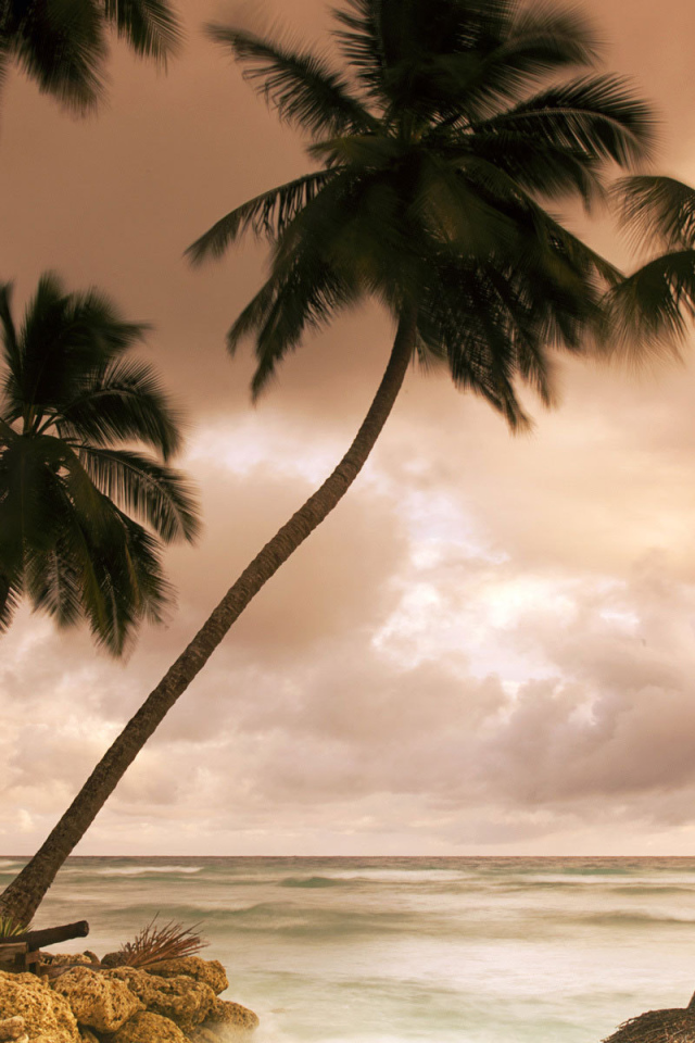 Потрясающое Барбадос