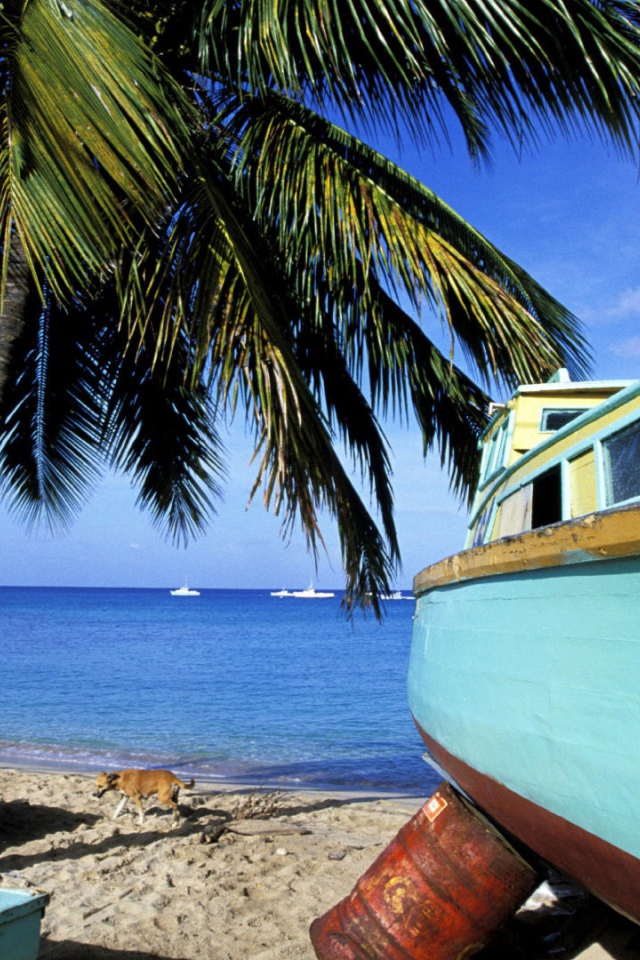 Впечатляющие Барбадос