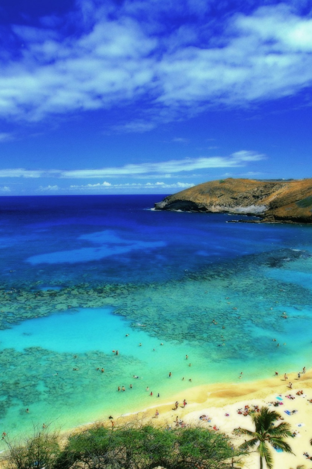 Удивительная страна Барбадос