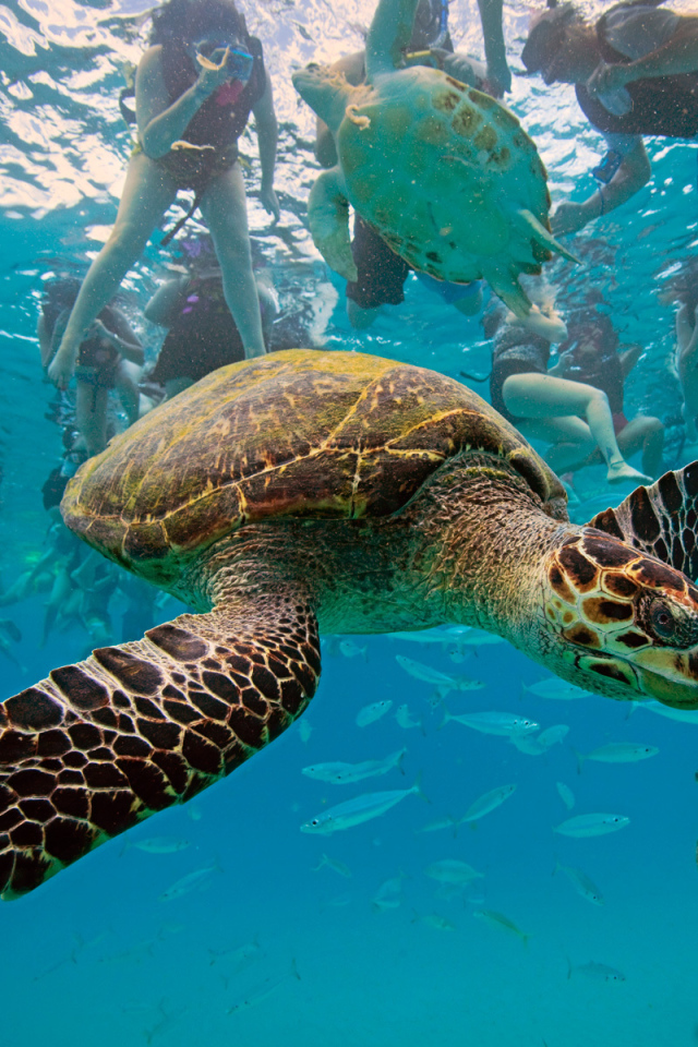 Туристическое место в Барбадос