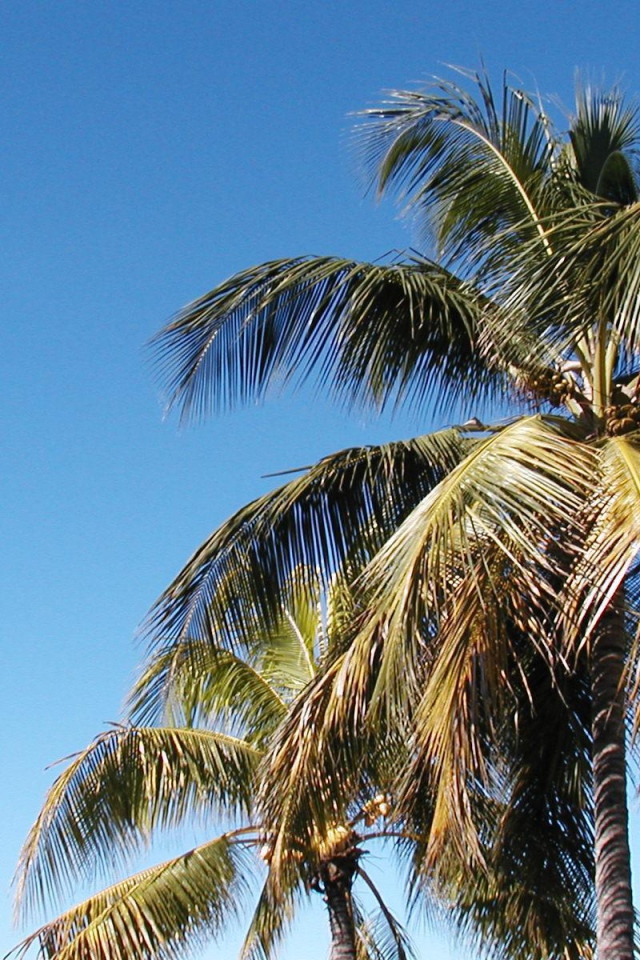 Замечательное место в Барбадос