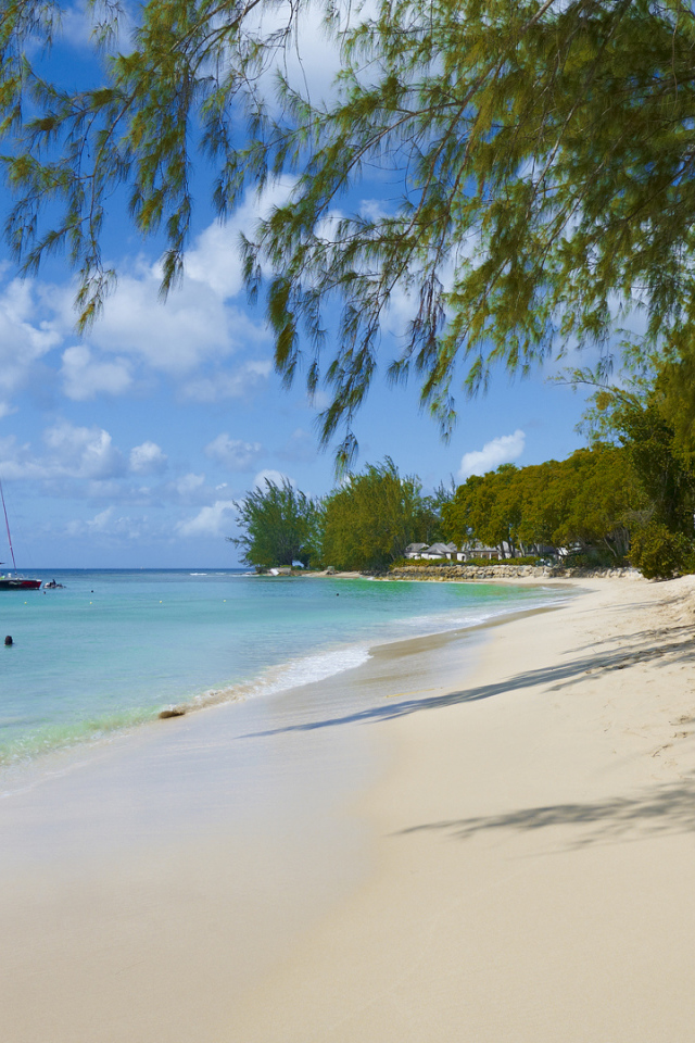 Привлекательное место в Барбадос