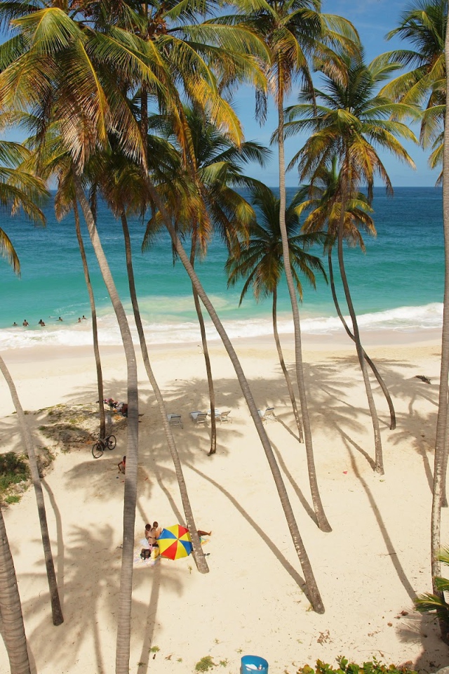 Захватывающие дух место в Барбадосe