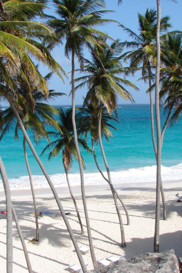 Впечатляющие место в Барбадос