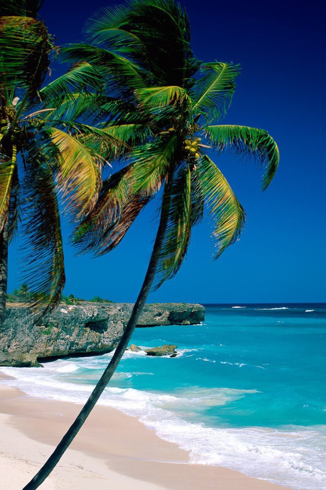 Изящное место в Барбадос