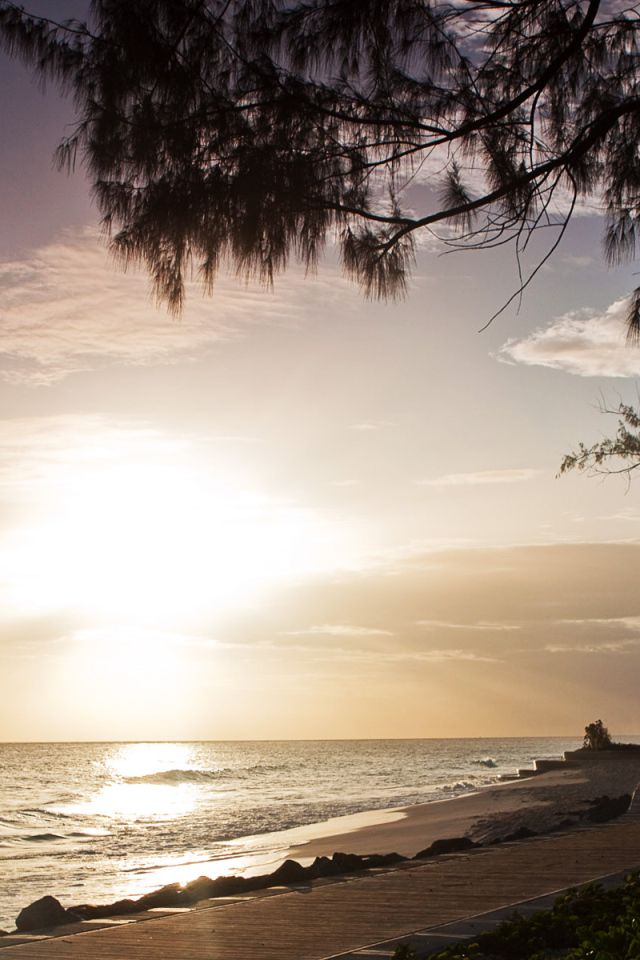 Завораживающий место в Барбадос