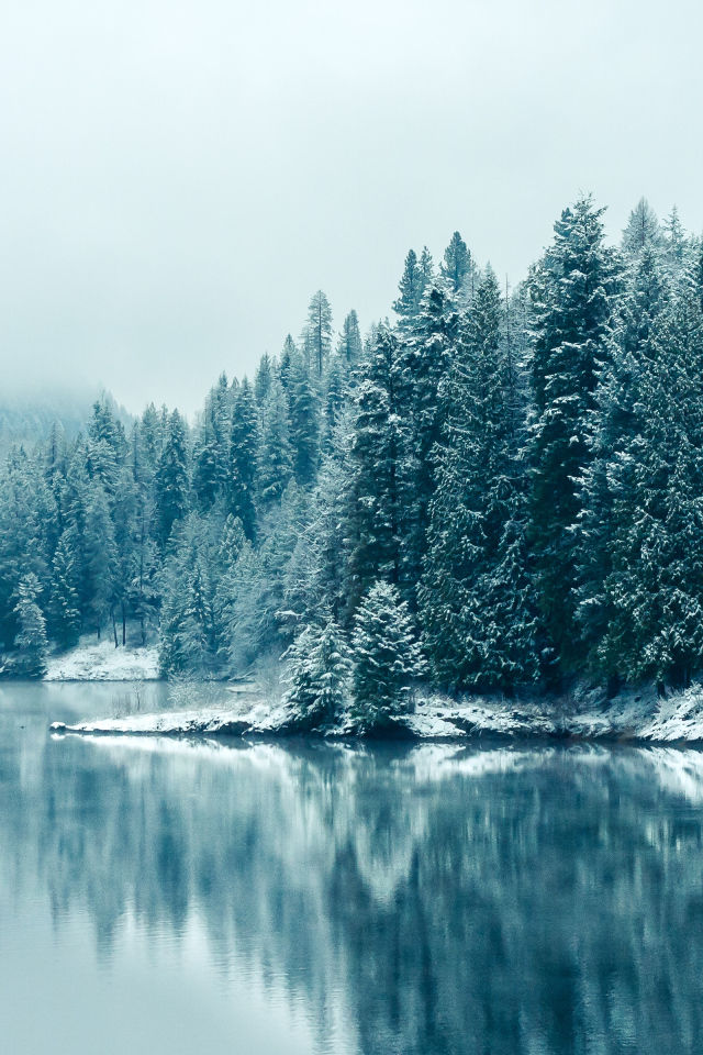 Красивая зима, Британская Колумбия, Канада