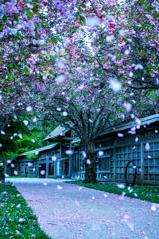 Кария парк в городе Миссисауга, Канада