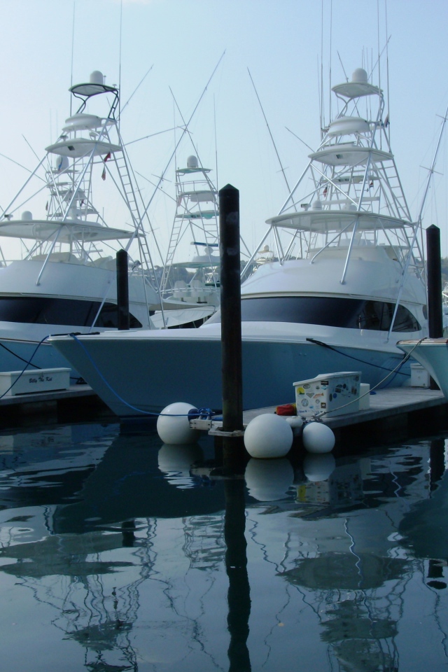 Порт Коста-Рика