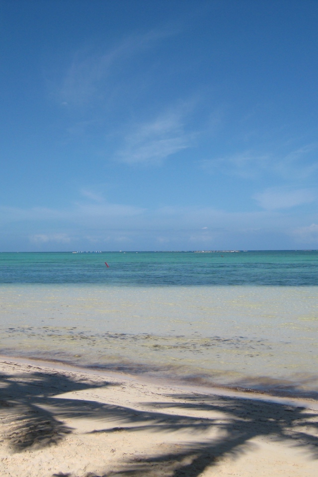 Удивительное Коста-Рика