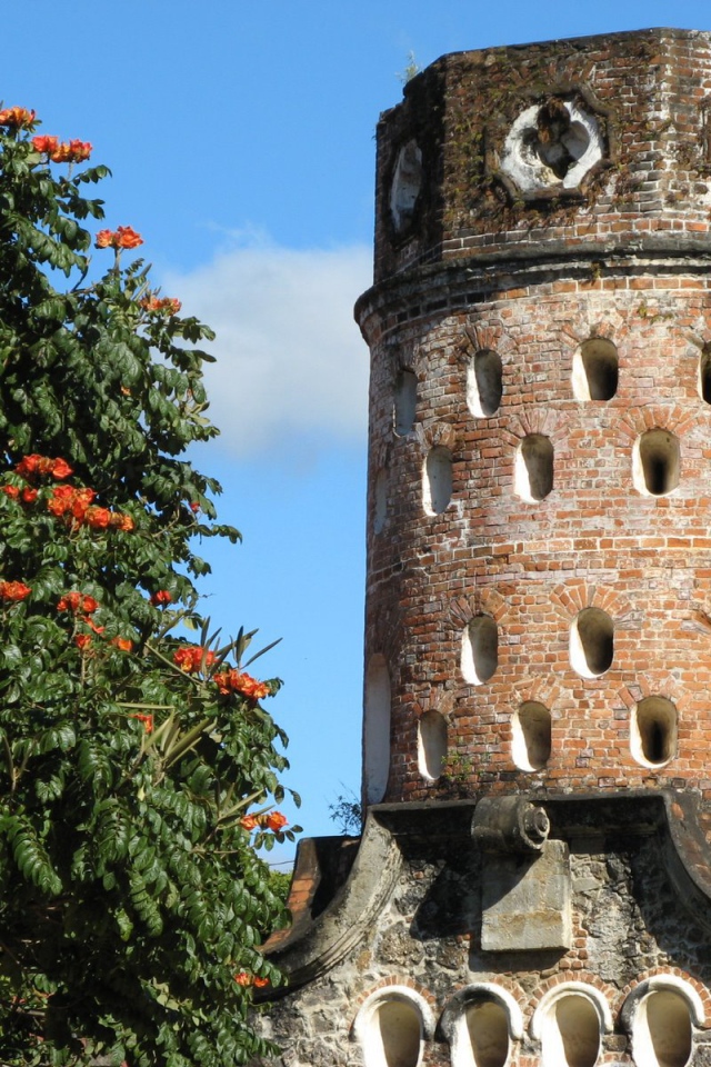 Эредиа Коста-Рика