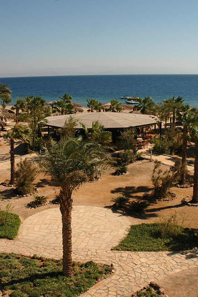 Пальмы на пляже на курорте Таба, Египет