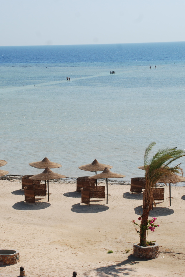 Пляжные зонтики на курорте Марса Алам, Египет