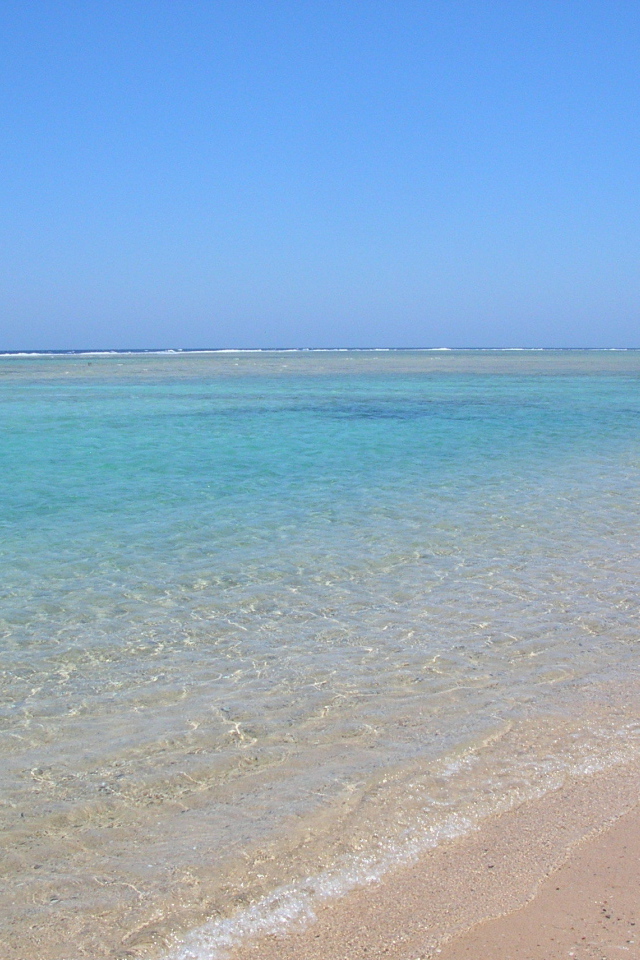 Весенний отдых на курорте Марса Алам, Египет