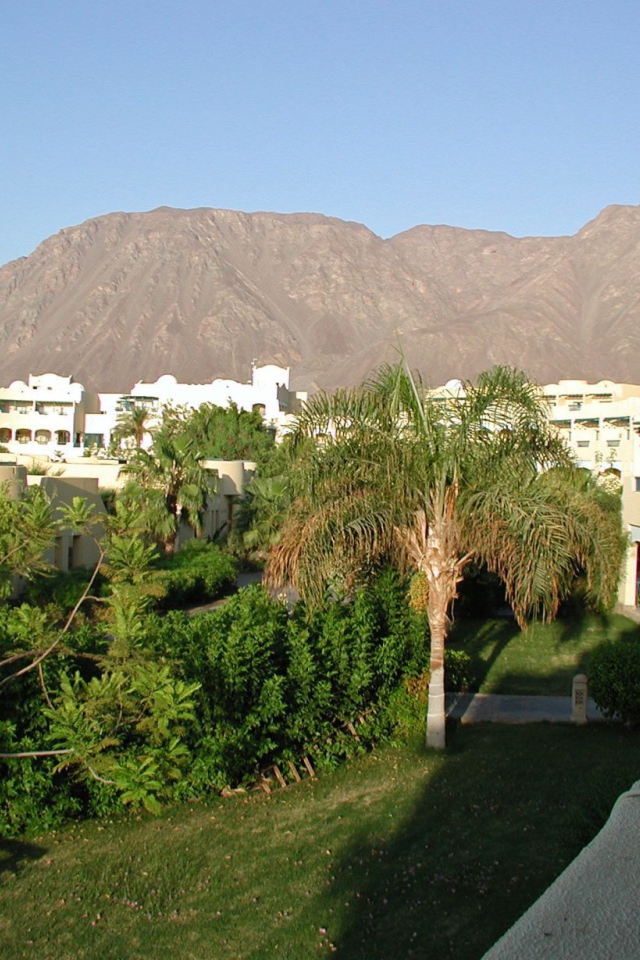 Вид из окна отеля на курорте Таба, Египет