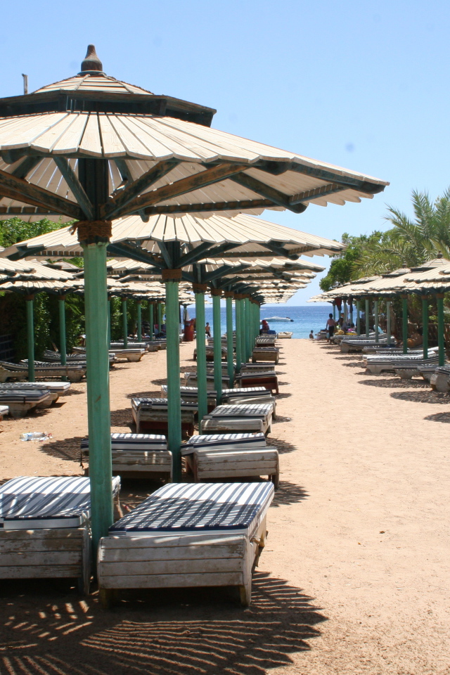 Зимний отдых на пляже на курорте Шарм эль Шейх, Египет