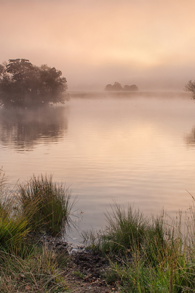 Ричмонд-парк, Суррей, Великобритания
