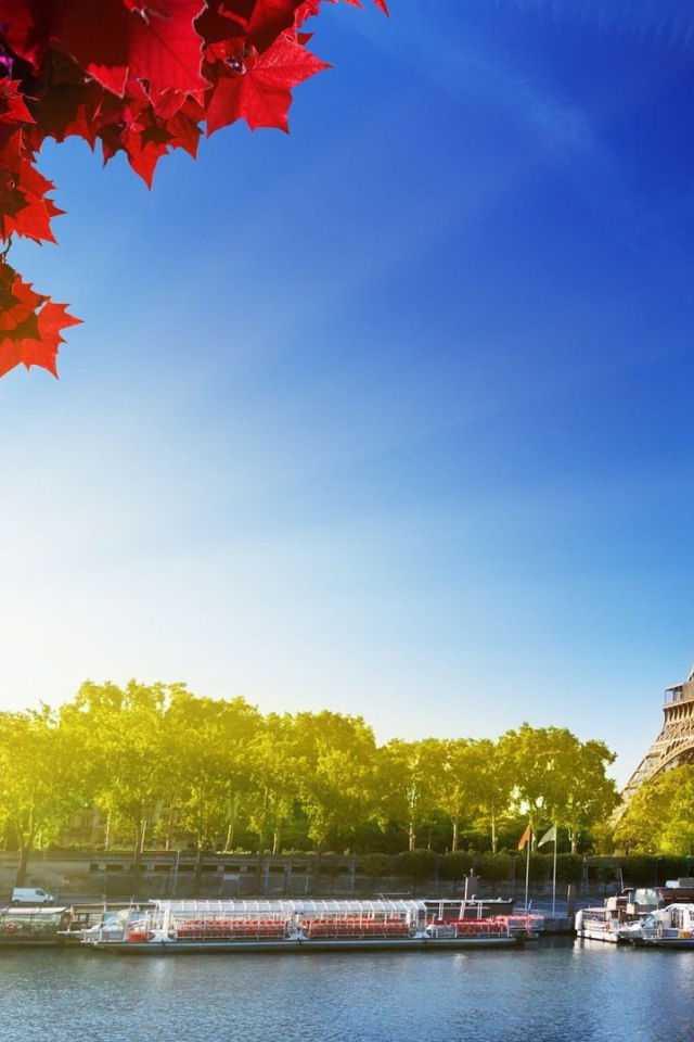 Осень в Париже, Франция