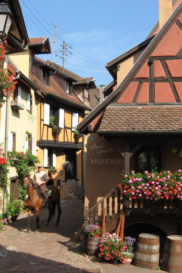 Цветущая улица в Эльзасе, Франция