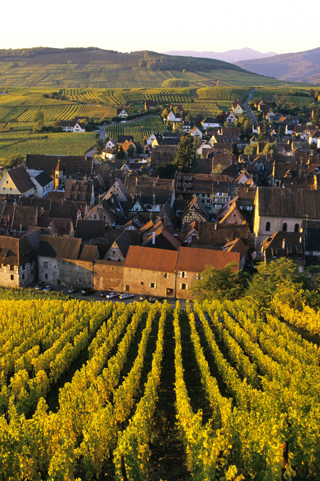 Город среди виноградников в Эльзасе, Франция