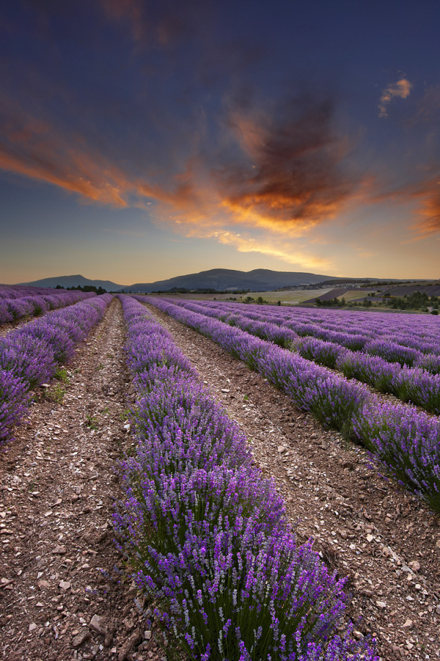 Огненный закат в Провансе, Франция 
