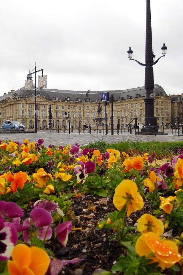 Цветочная клумба в Бордо, Франция