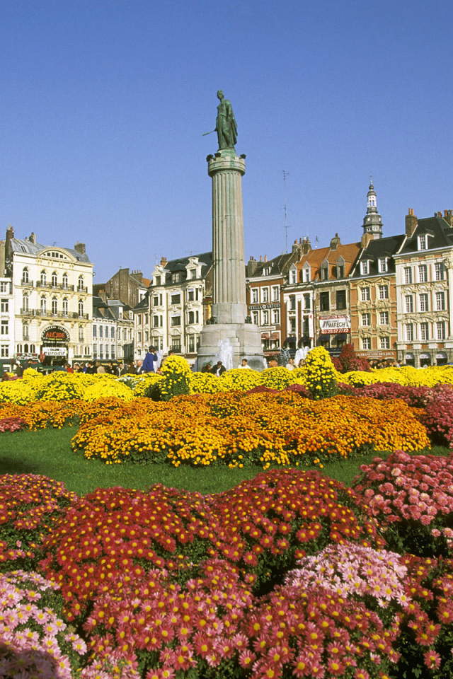 Клумбы в городе Лилль, Франция