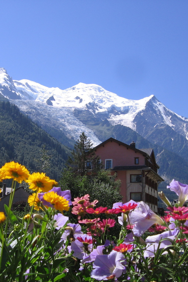 Цветы на курорте Шамони, Франция