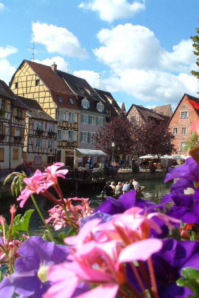 Цветы в Эльзасе, Франция