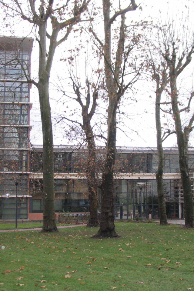 Стеклянное здание в городе Виши, Франция