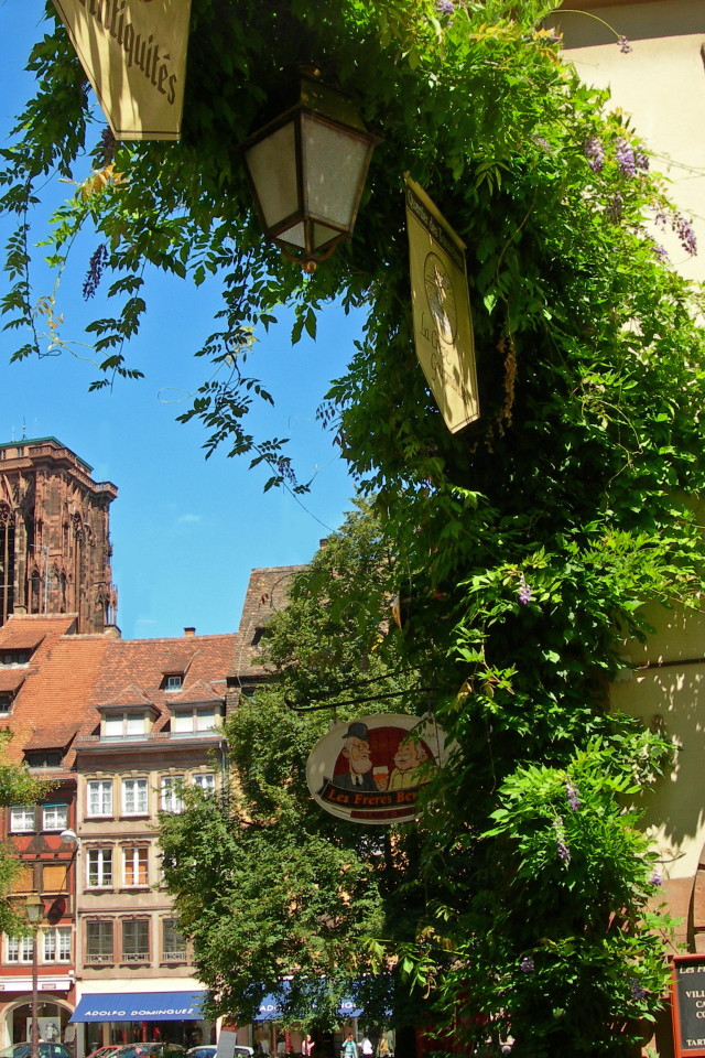 Зелень в городе Страсбург, Франция