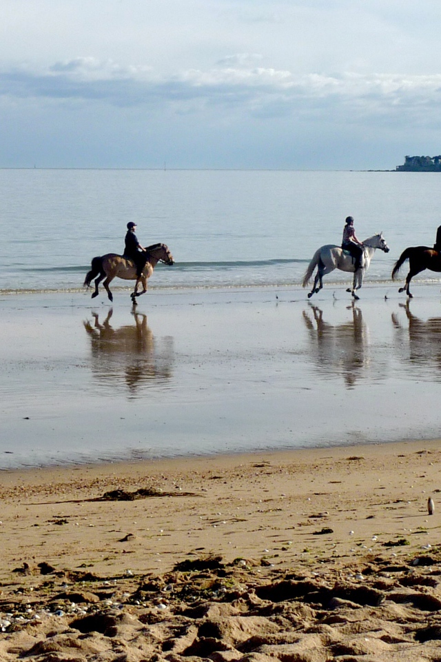 Конная прогулка на курорте Ла Боль, Франция