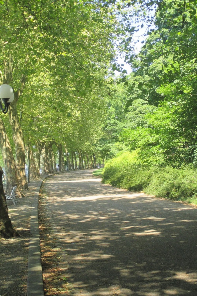 Парковая аллея в городе Виши, Франция