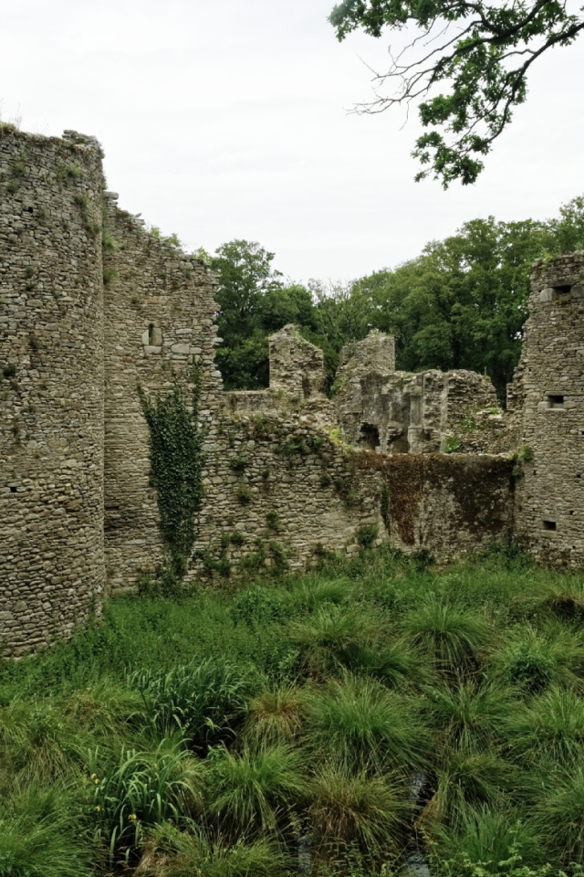 Руины замка в Бретань, Франция