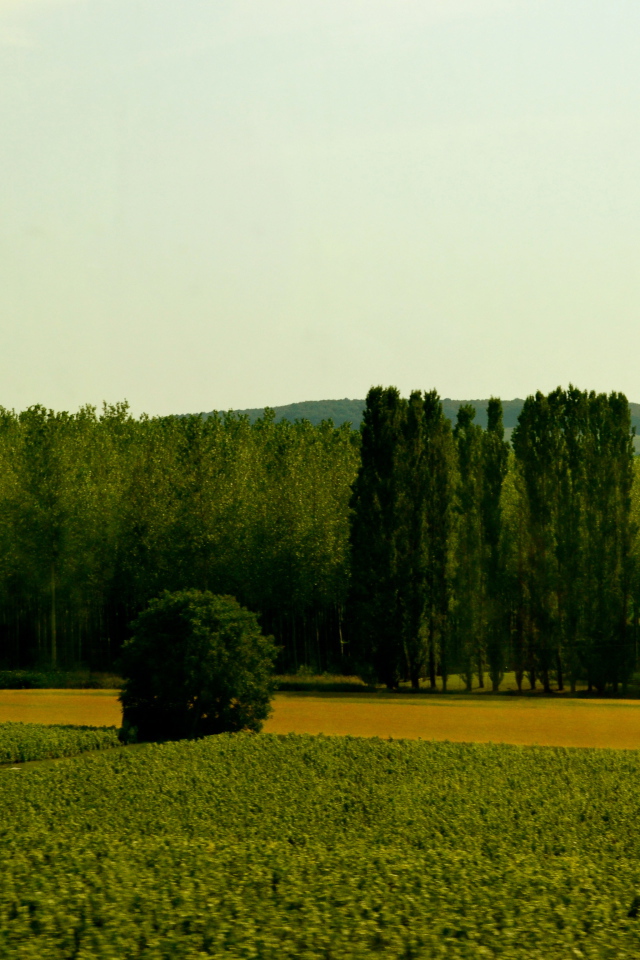 Сельский пейзаж в провинции Шампань, Франция
