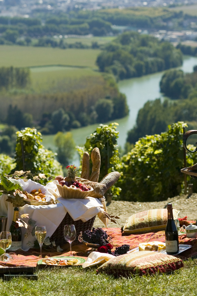 Отдых в провинции Шампань, Франция