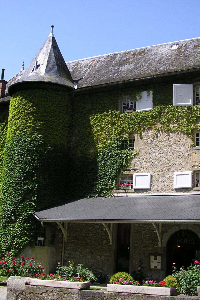 Заросший зеленью замок в городе Виши, Франция