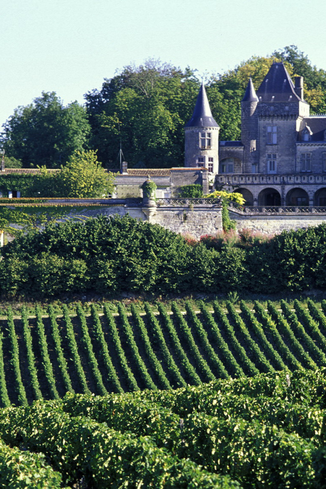 Виноградники в Бордо, Франция