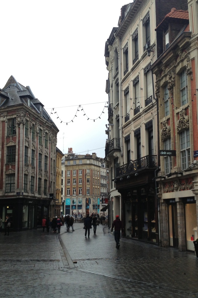 Прогулка по улице в городе Лилль, Франция