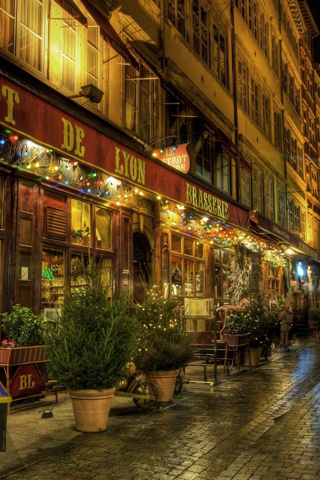 Прогулка по улице в городе Лион, Франция