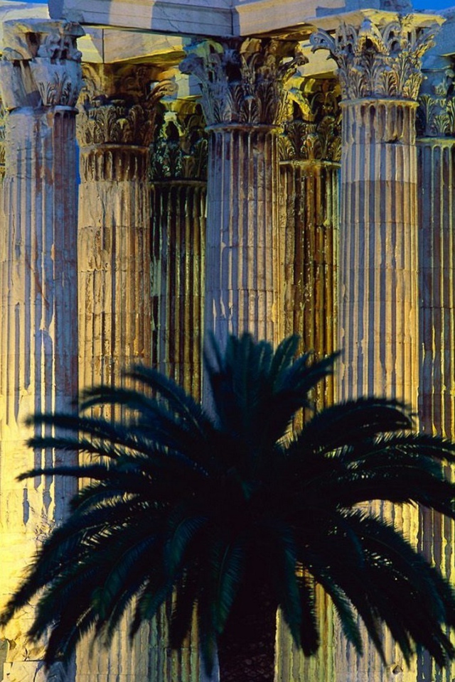 Пальма на фоне колонн в Афинах