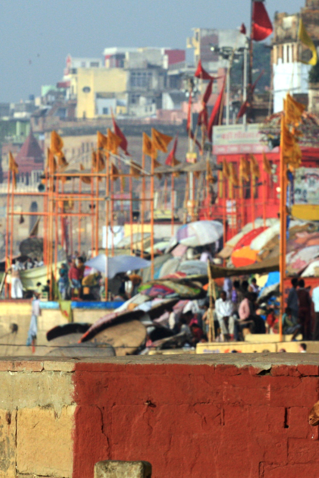 Житель Варанаси с козами