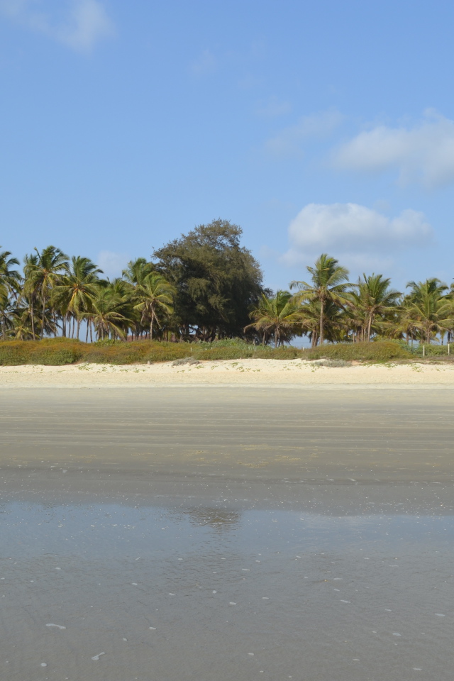 Осенний отпуск в Бенаулиме