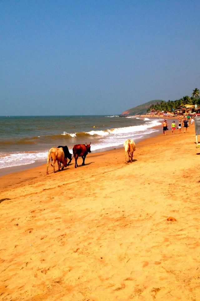 Пляжи в Анджуне