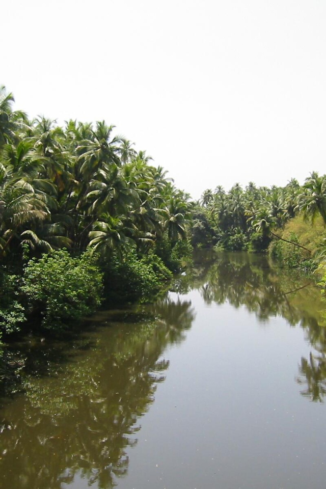 Красивая природа Гоа